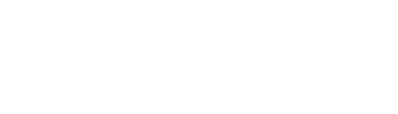 The Vineyards Logo